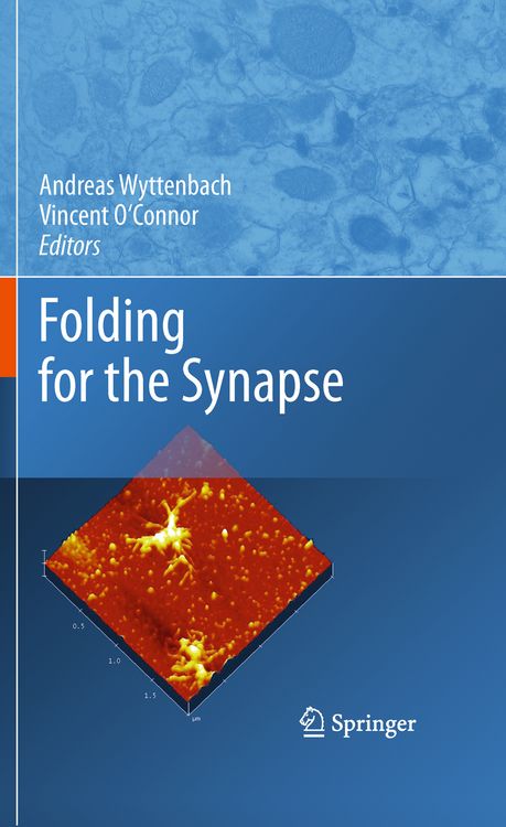 Produktbild: Folding for the Synapse