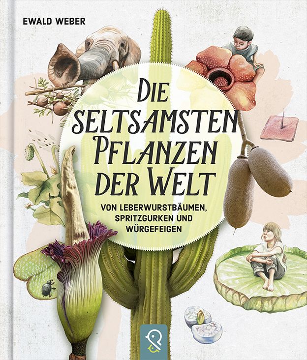 Produktbild: Die seltsamsten Pflanzen der Welt