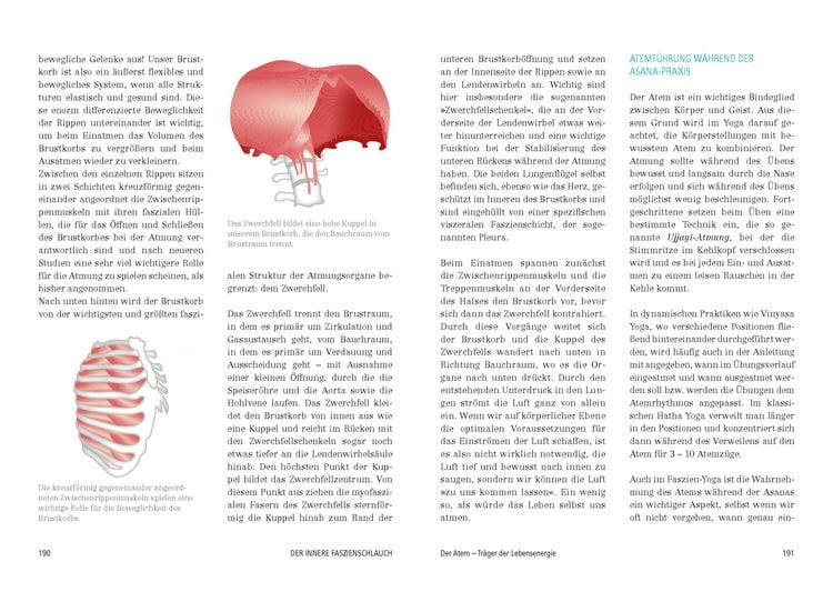 Produktbild: Das gro&szlig;e Faszien-Yoga Buch