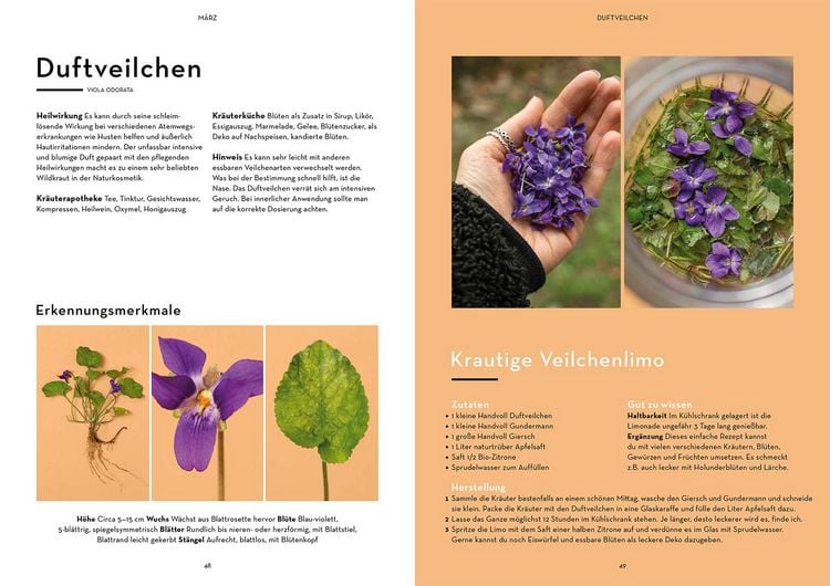 Produktbild: Wild durchs Jahr