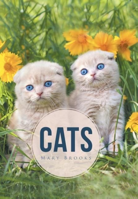 Produktbild: Mary Brooks: Cats