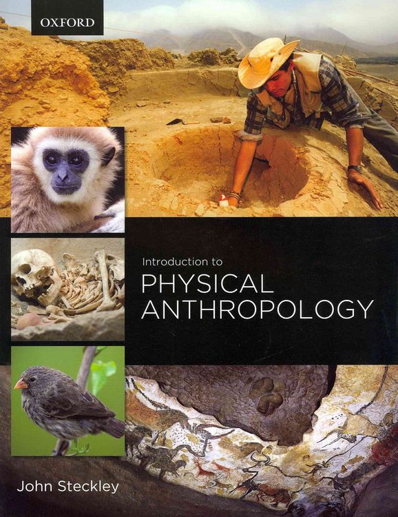 Produktbild: Introduction to Physical Anthropology
