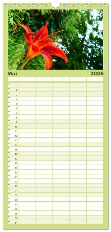 Produktbild: Familienplaner 2026 - Traum Blumen mit 5 Spalten (Wandkalender, 21 x 45 cm) CALVENDO