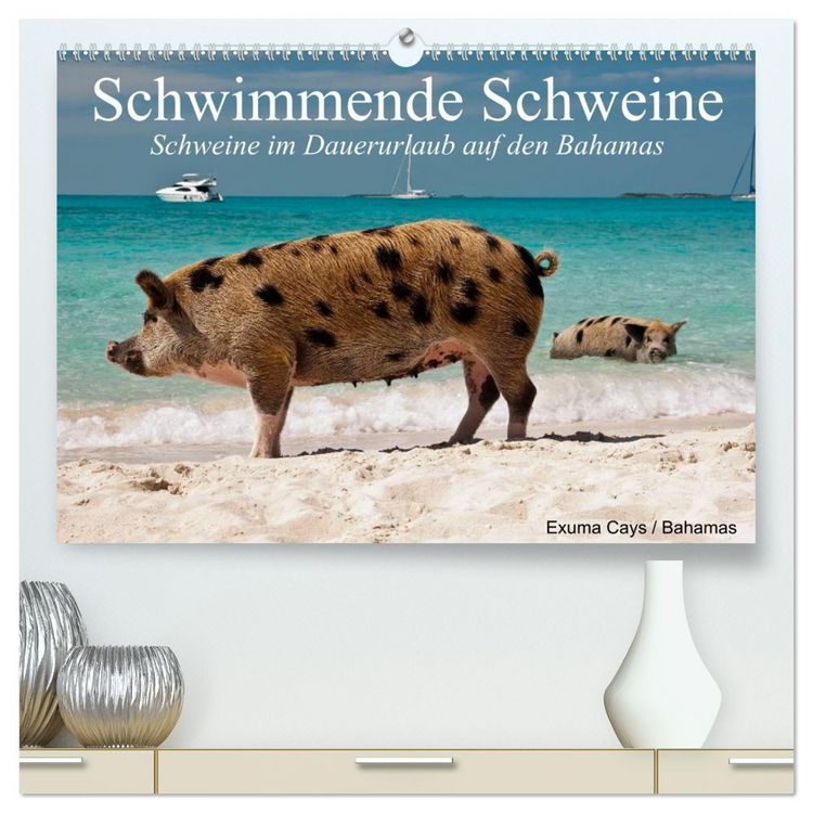 Produktbild: Schwimmende Schweine (hochwertiger Premium Wandkalender 2026 DIN A2 quer), Kunstdruck in Hochglanz