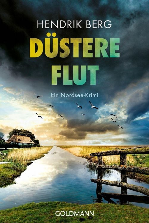 Produktbild: D&uuml;stere Flut