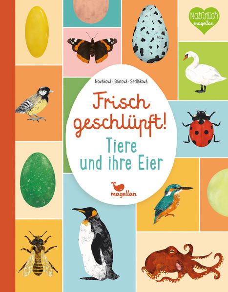 Produktbild: Frisch geschl&uuml;pft! - Tiere und ihre Eier