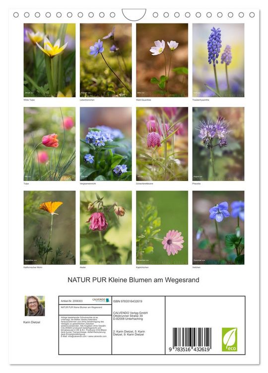 Produktbild: NATUR PUR Kleine Blumen am Wegesrand (Wandkalender 2026 DIN A4 hoch), CALVENDO Monatskalender