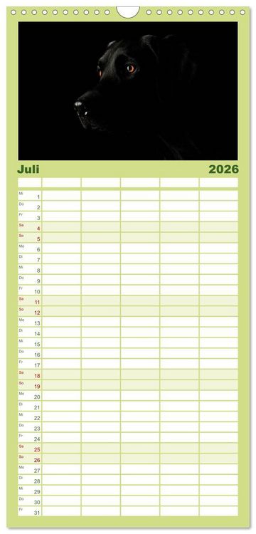 Produktbild: Familienplaner 2026 - Labrador Retriever mit 5 Spalten (Wandkalender, 21 x 45 cm) CALVENDO