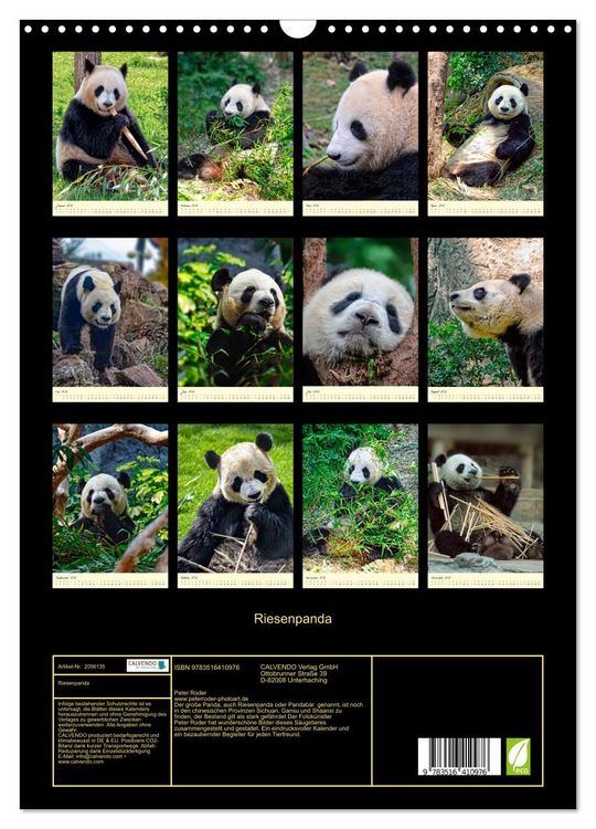 Produktbild: Riesenpanda (Wandkalender 2026 DIN A3 hoch), CALVENDO Monatskalender
