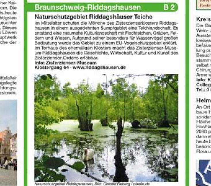Produktbild: Braunschweig - Helmstedt mit Naturpark Lappwald 1:50 000