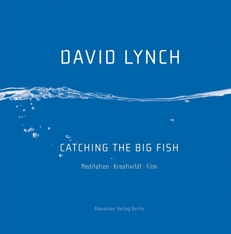 Produktbild: Catching the Big Fish