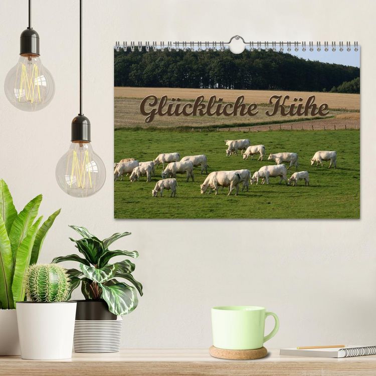 Produktbild: Gl&uuml;ckliche K&uuml;he (Wandkalender 2026 DIN A4 quer), CALVENDO Monatskalender