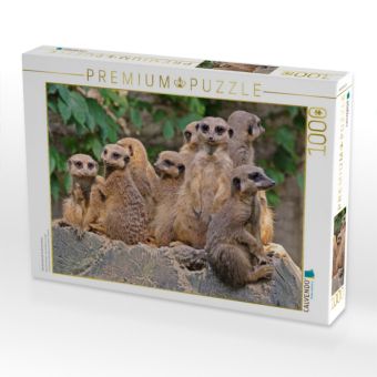 Produktbild: CALVENDO Puzzle Familienbande Erdm&auml;nnchen | 1000 Teile Lege-Gr&ouml;&szlig;e 64x48cm Foto-Puzzle f&uuml;r gl&uuml;ckliche Stunden