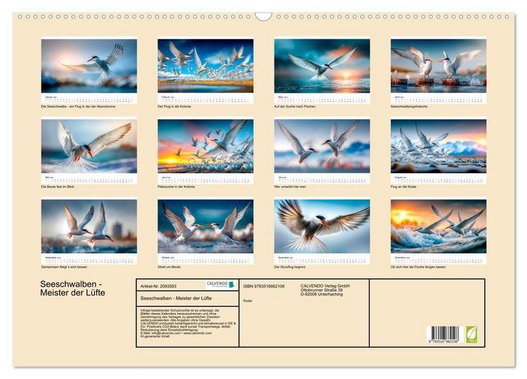 Produktbild: Seeschwalben - Meister der L&uuml;fte (Wandkalender 2026 DIN A2 quer), CALVENDO Monatskalender