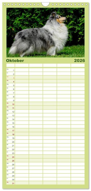 Produktbild: Familienplaner 2026 - Sheltie 2026 mit 5 Spalten (Wandkalender, 21 x 45 cm) CALVENDO