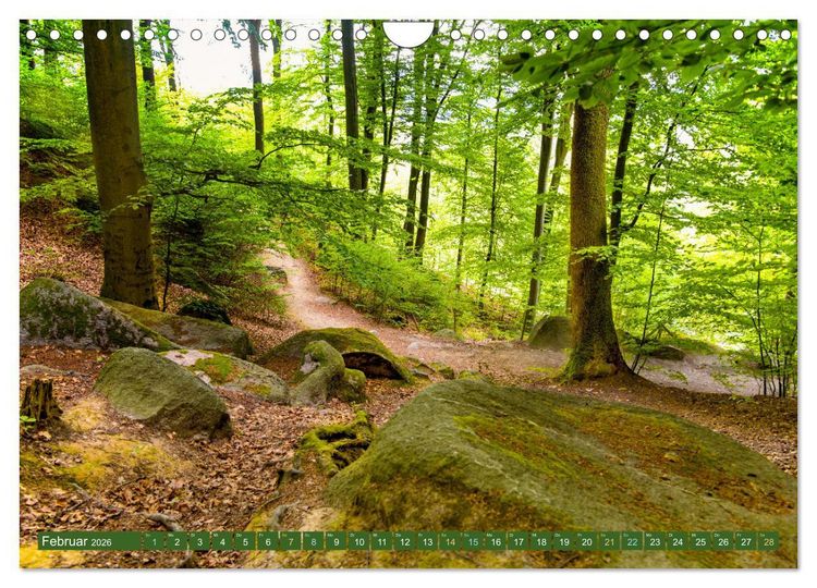 Produktbild: Das Felsenmeer - Natur pur im Odenwald (Wandkalender 2026 DIN A4 quer), CALVENDO Monatskalender