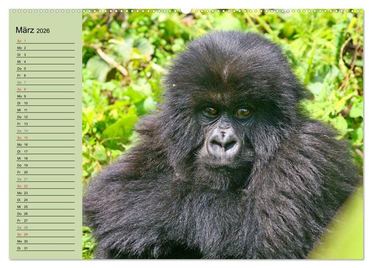 Produktbild: Afrikas wildes Kinderzimmer (Wandkalender 2026 DIN A2 quer), CALVENDO Monatskalender