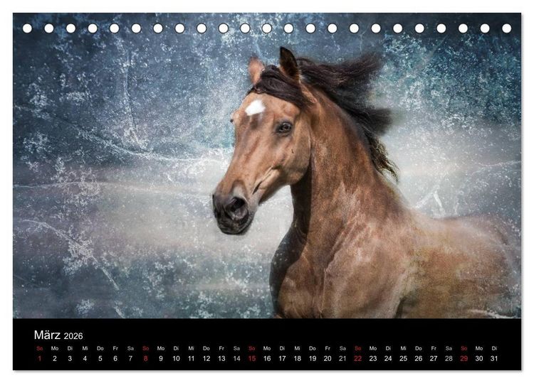 Produktbild: Pferde zum Tr&auml;umen (Tischkalender 2026 DIN A5 quer), CALVENDO Monatskalender