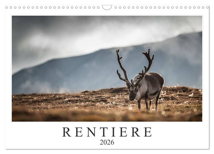 Produktbild: Rentiere (Wandkalender 2026 DIN A3 quer), CALVENDO Monatskalender