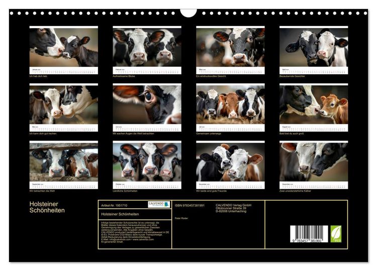 Produktbild: Holsteiner Sch&ouml;nheiten (Wandkalender 2026 DIN A3 quer), CALVENDO Monatskalender