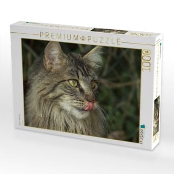 Produktbild: CALVENDO Puzzle Katzen - Maine Coon | 1000 Teile Lege-Gr&ouml;&szlig;e 64x48cm Foto-Puzzle f&uuml;r gl&uuml;ckliche Stunden