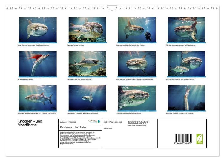 Produktbild: Knochen - und Mondfische (Wandkalender 2027 DIN A3 quer), CALVENDO Monatskalender