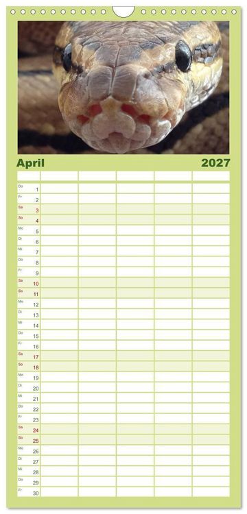Produktbild: Familienplaner 2027 - Schlangen mit 5 Spalten (Wandkalender, 21 x 45 cm) CALVENDO
