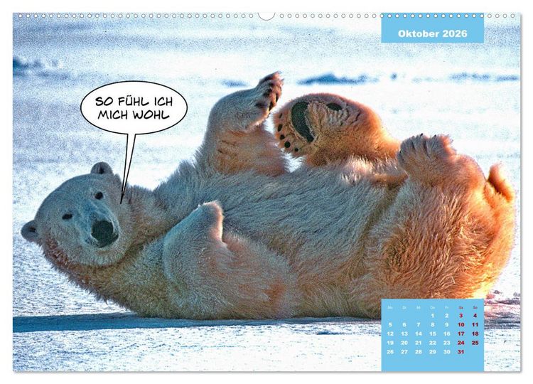 Produktbild: Lustige Eisb&auml;ren (Wandkalender 2026 DIN A2 quer), CALVENDO Monatskalender
