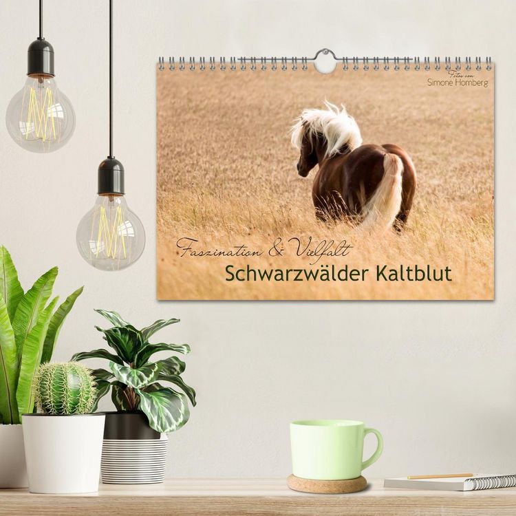 Produktbild: Faszination und Vielfalt - Schwarzw&auml;lder Kaltblut (Wandkalender 2026 DIN A4 quer), CALVENDO Monatskalender