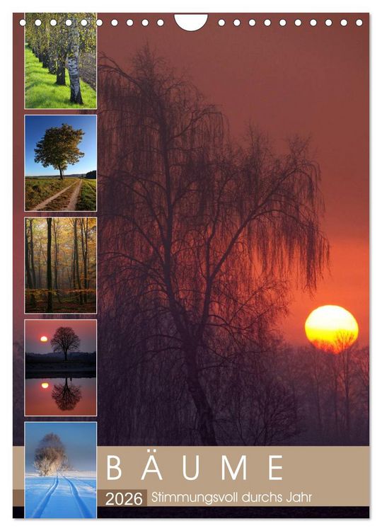 Produktbild: B&auml;ume - Stimmungsvoll durchs Jahr (Wandkalender 2026 DIN A4 hoch), CALVENDO Monatskalender