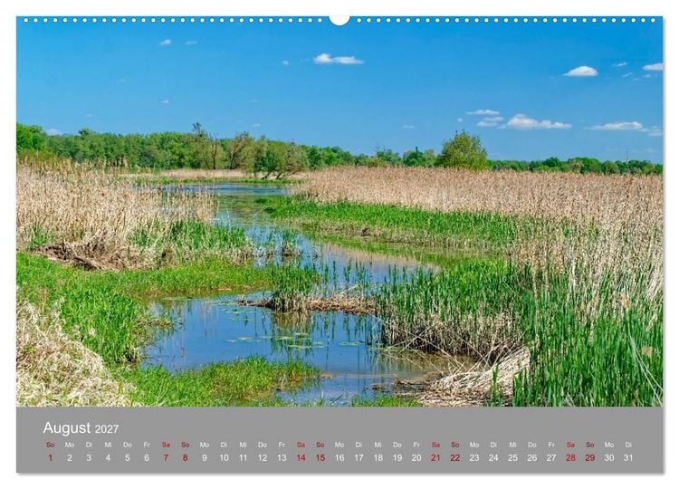 Produktbild: Nationalpark Unteres Odertal (Wandkalender 2027 DIN A2 quer), CALVENDO Monatskalender