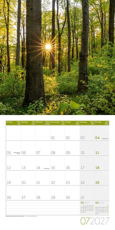 Produktbild: Zauber des Waldes Kalender 2027 - 30x30 - Art12