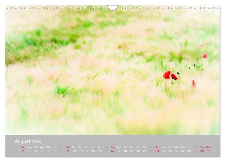 Produktbild: Poppy Love (Wall Calendar 2026 DIN A3 landscape), CALVENDO 12 Month Wall Calendar