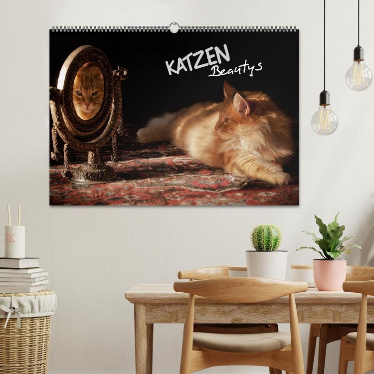 Produktbild: KATZEN Beautys (Wandkalender 2026 DIN A2 quer), CALVENDO Monatskalender