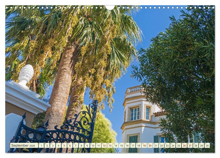 Produktbild: Mediterrane Flora - Pflanzen des S&uuml;dens (Wandkalender 2026 DIN A3 quer), CALVENDO Monatskalender