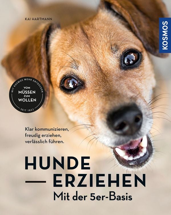 Produktbild: Hunde erziehen &ndash; mit der 5er-Basis