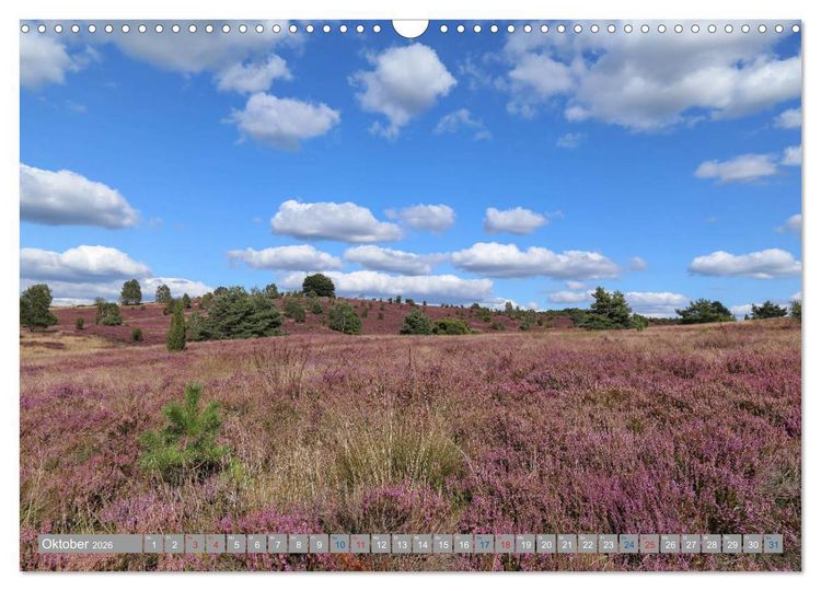 Produktbild: L&uuml;neburger Heide - Faszinierend sch&ouml;n (Wandkalender 2026 DIN A3 quer), CALVENDO Monatskalender
