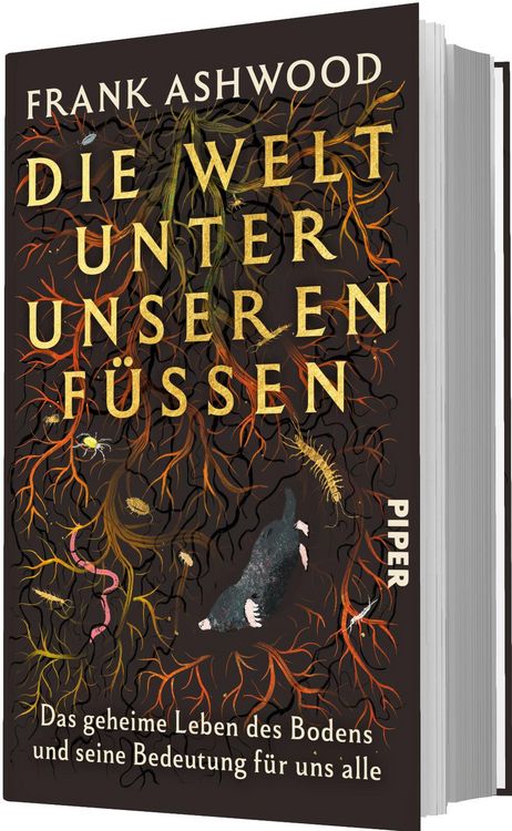 Produktbild: Die Welt unter unseren F&uuml;&szlig;en