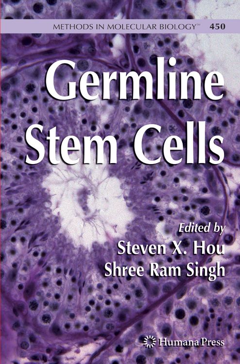 Produktbild: Germline Stem Cells