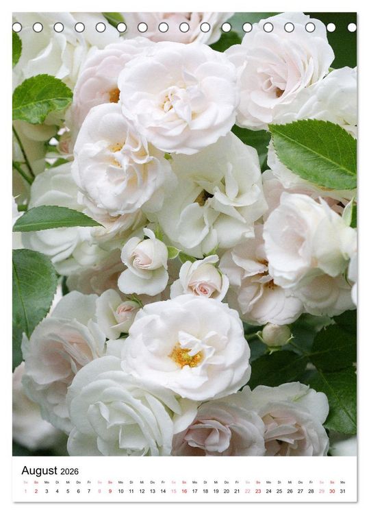 Produktbild: Ein Jahr voller Blumen (Tischkalender 2026 DIN A5 hoch), CALVENDO Monatskalender