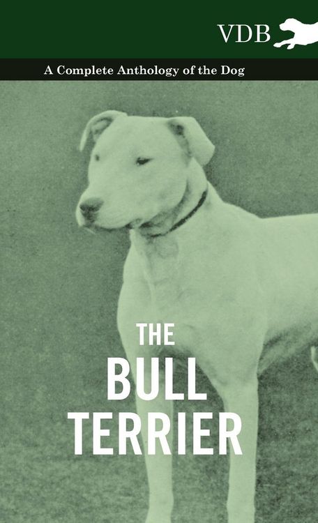 Produktbild: The Bull Terrier - A Complete Anthology of the Dog -