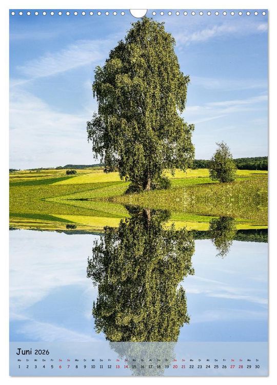 Produktbild: Spiegelb&auml;ume (Wandkalender 2026 DIN A3 hoch), CALVENDO Monatskalender