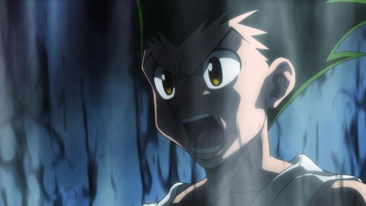 Produktbild: HUNTERxHUNTER - Volume 11 (Episode 113-124) [2 DVDs]