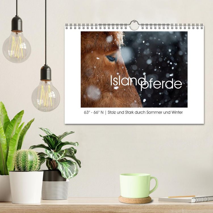 Produktbild: Islandpferde - Stolz und Stark durch Sommer und Winter (Wandkalender 2026 DIN A4 quer), CALVENDO Monatskalender
