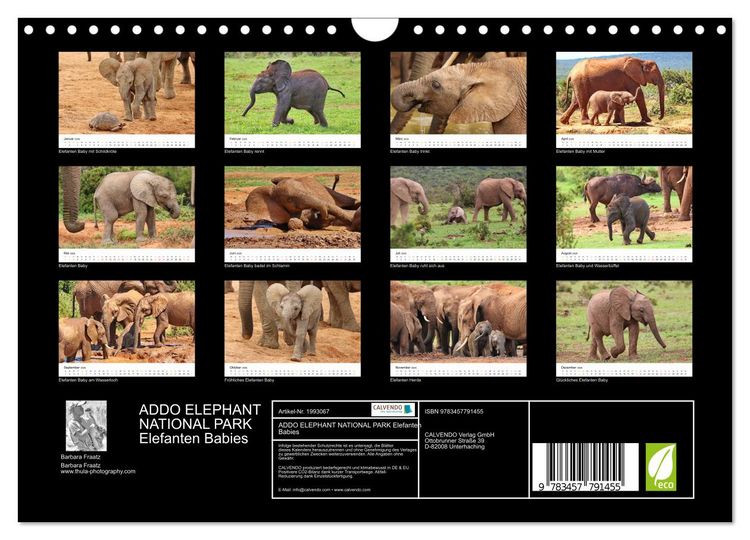 Produktbild: ADDO ELEPHANT NATIONAL PARK Elefanten Babies (Wandkalender 2026 DIN A4 quer), CALVENDO Monatskalender