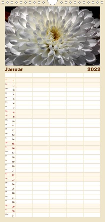 Produktbild: Familienplaner Floral Portraits - Blumen Impression (Wandkalender 2022 , 21 cm x 45 cm, hoch)