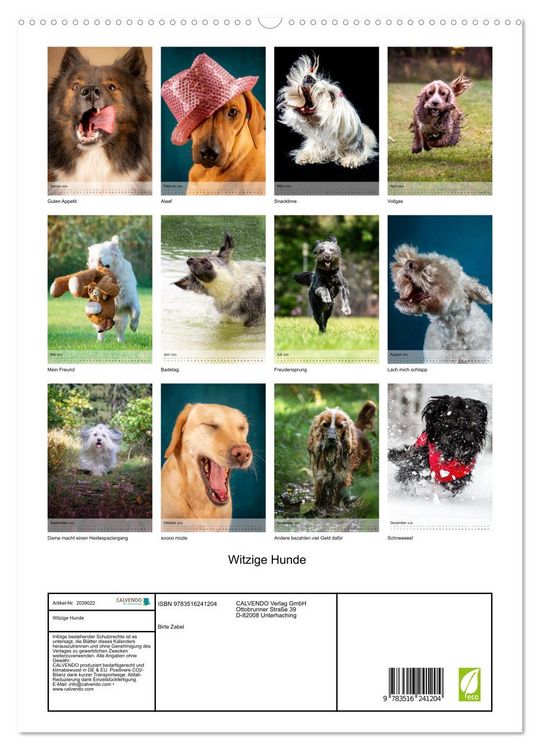 Produktbild: Witzige Hunde (hochwertiger Premium Wandkalender 2026 DIN A2 hoch), Kunstdruck in Hochglanz