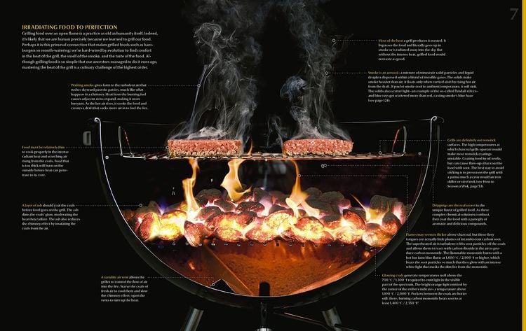 Modernist Cuisine: The Art and Science of Cooking