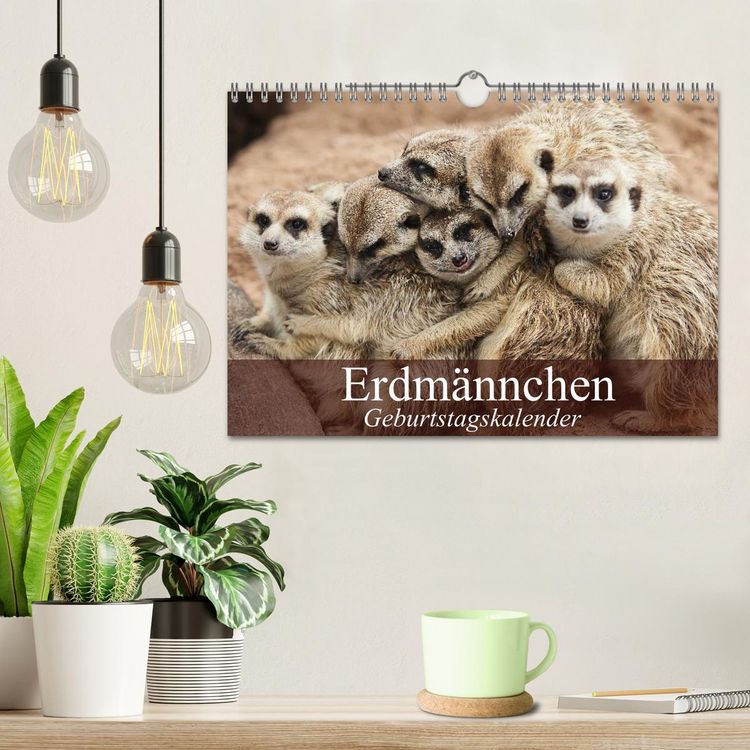 Produktbild: Erdm&auml;nnchen (Wandkalender 2026 DIN A4 quer), CALVENDO Monatskalender