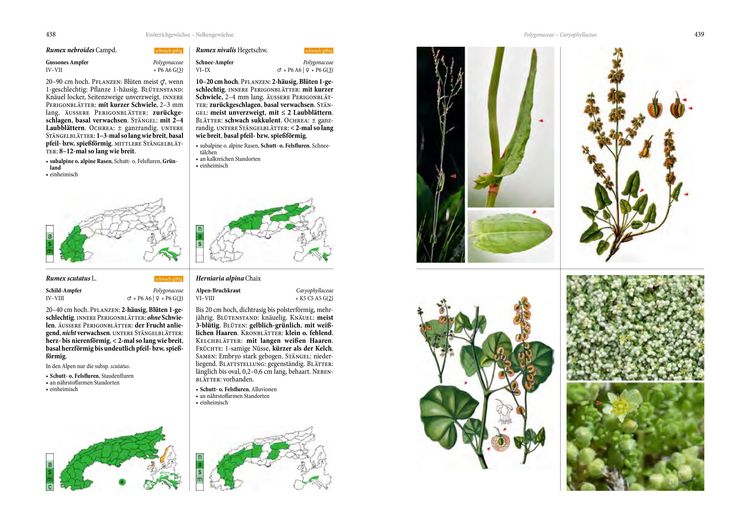 Produktbild: Alpenflora